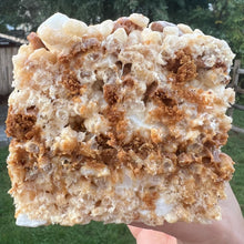 Load image into Gallery viewer, The Specu-licious
